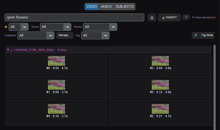 Searching the library by meaning: /pink flowers finds the matching clips