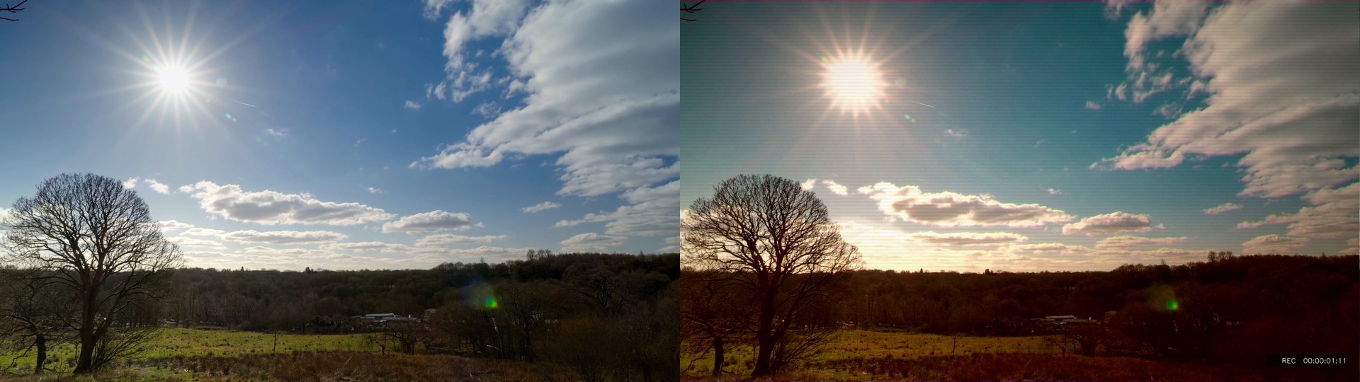 The same frame of a tree under a cloudy sky, rendered by Onset Engine with the RAW preset on the left and the VHS preset on the right: warmer, with scanlines and a REC timecode